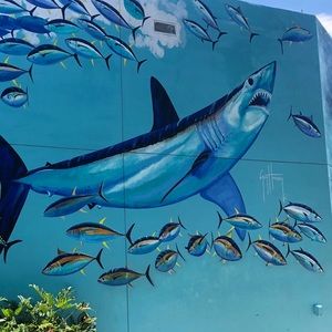 Meet your Posher, Kevin